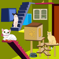 Play Cat Room Escape And More Free Online New Best Games