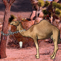 Free online html5 games - Arabian Desert Escape game 