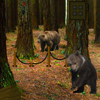 Free online html5 games - Bear Forest Escape game - Games2rule