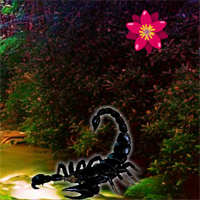 Free online html5 games - Black Scorpion Forest Escape game - Games2rule