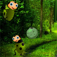 Free online html5 games - Crazy Beetle forest game 