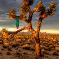 Free online html5 games - Daydreaming Desert Forest Escape game - Games2rule