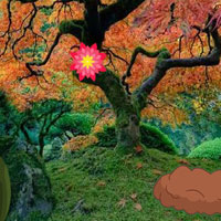 Free online html5 games - Deciduous Garden Escape game - Games2rule