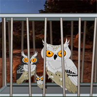 Free online html5 games - Desert Great Basin Owl family Rescue game - Games2rule