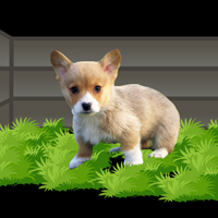 Free online html5 games - Dog Escape From Forest game - Games2rule