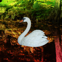 Free online html5 games - Escape from Swan Forest game - Games2rule