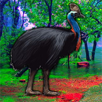 Free online html5 games - Escape Game Save The Cassowary game - Games2rule