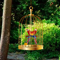 Free online html5 games - Exotic Bird Rescue game - Games2rule