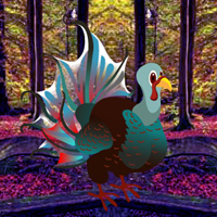 Free online html5 games - Fantasy Turkey Forest Escape game - Games2rule