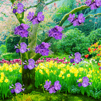 Free online html5 games - Find the Kurinji Flower Tree game - Games2rule