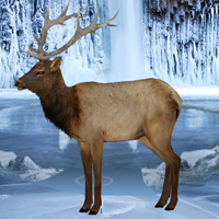 Free online html5 games - Frozen Land Elk Rescue game 