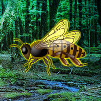 Free online html5 games - Giant Wasp Forest Escape game 