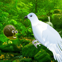 Free online html5 games - Green Forest Dove Escape game - Games2rule