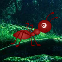 Free online html5 games - Jumbo Ant Forest Escape game - Games2rule