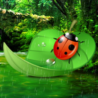 Free online html5 games - Ladybug Rainforest Escape game 