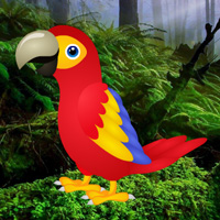 Free online html5 games - Macaw Green Forest Escape game - Games2rule