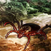 Free online html5 games - Picasso Fleas Forest Escape game - Games2rule