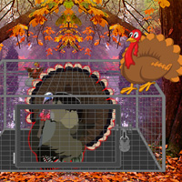 Free online html5 games - Queen Turkey Mysterious Escape game - Games2rule