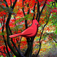 Free online html5 games - Red Autumn Forest Escape game - Games2rule