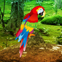 Free online html5 games - Scarlet Macaw Forest Escape game - Games2rule