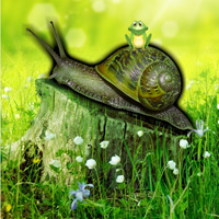 Free online html5 games - Snail Forest Escape game - Games2rule 