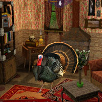 Free online html5 games - Turkey Cottage Escape game - Games2rule