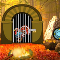 Free online html5 games - Turkey Waterfall Forest Escape game - Games2rule