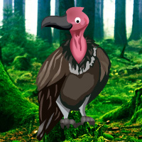 Free online html5 games - Vulture Forest Escape game - Games2rule