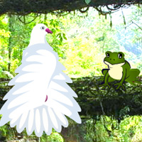 Free online html5 games - Wild Parrots Rescue game 