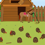 Free online html5 games - Wild Turkey Escape game 