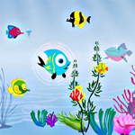 Free online html5 games - Fish Food game 