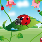 Free online html5 games - Hidden Bugs game 