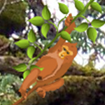 Free online html5 games - Hidden Monkey game 