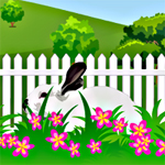 Free online html5 games - Hidden Rabbit game - Games2rule 