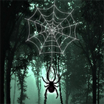 Free online html5 games - Hidden Spider game 