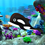 Free online html5 games - Hidden Whales game 