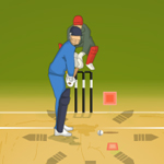 Free online html5 games - T20 Worldcup 2012 game 