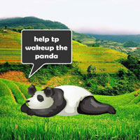 Free online html5 escape games - Awaken The Sluggish Panda