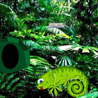 Free online html5 games - Chameleon Rain Forest Escape HTML5 game 