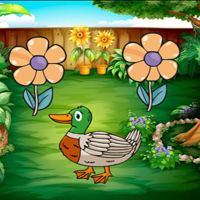 Free online html5 games - Duck Searching Her Foal game 