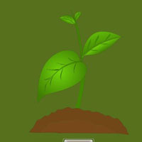 Free online html5 games - Escape From Plant Forest HTML5 game 