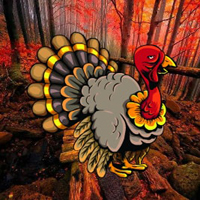 Free online html5 games - Escape Turkey From Deep Pit HTML5 game 