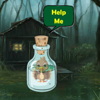 Free online html5 escape games - Escaped Bottle Stuck Turkey