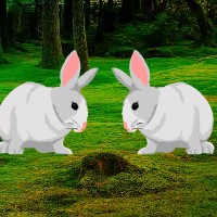 Free online html5 games - Feeling Rabbit Love Escape HTML5 game - Games2rule