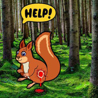 Free online html5 games - Injuried Squirrel Escape game 