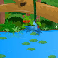 Free online html5 games - Save The Troubled Macaw game - Games2rule