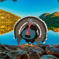 Free online html5 games - Save The Wild Turkey HTML5 game 