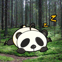Free online html5 games - Wakeup The Snooze Panda game 