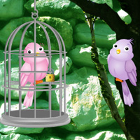 Free online html5 games - Wow Find the Twin Birds game 