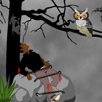 Free online html5 games - Escape Reporter from Devil Forest game 